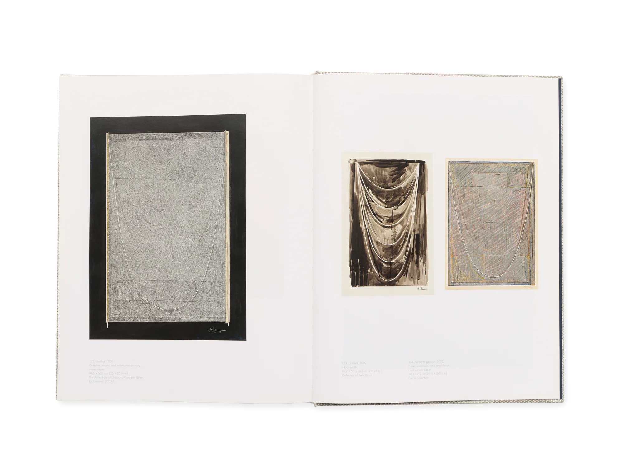 Jasper Johns: Gray - Image 3