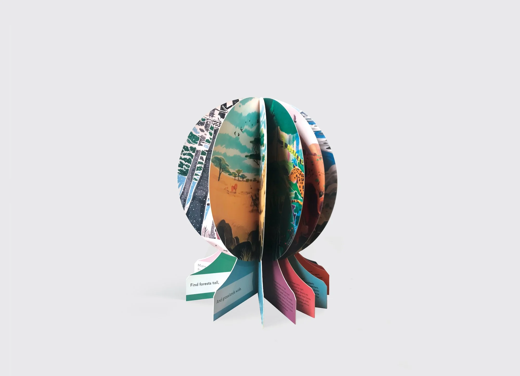 Our World: A First Book of Geography - Image 3