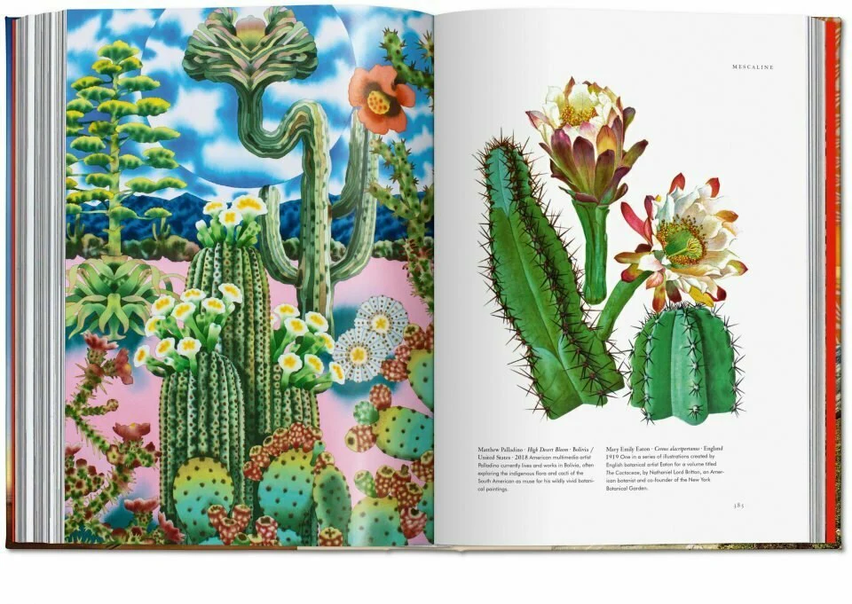 Plant Magick: The Library of Esoterica - Image 2