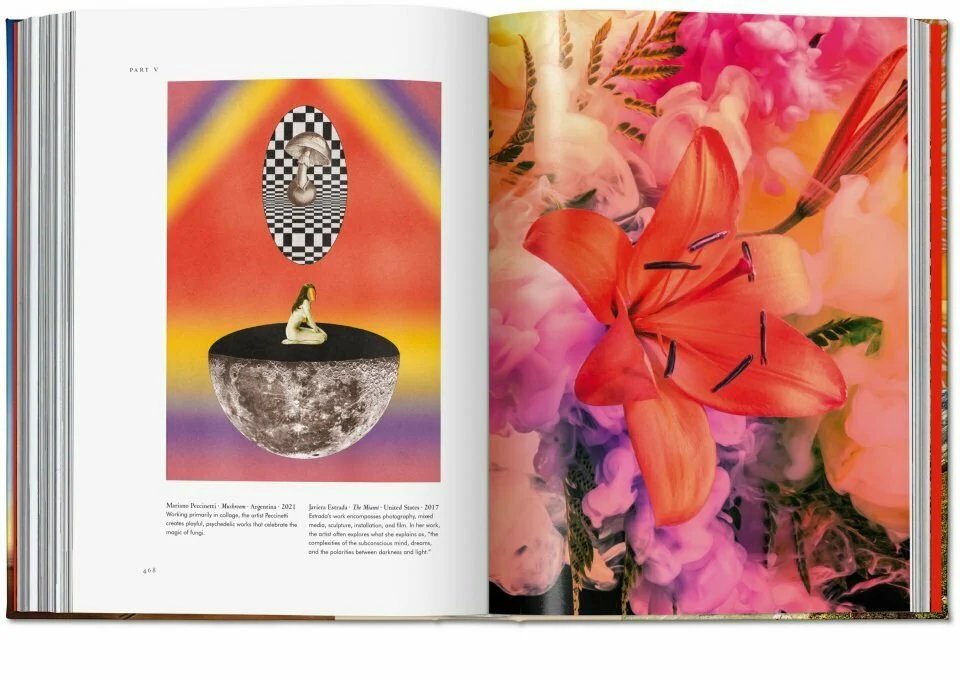 Plant Magick: The Library of Esoterica - Image 3