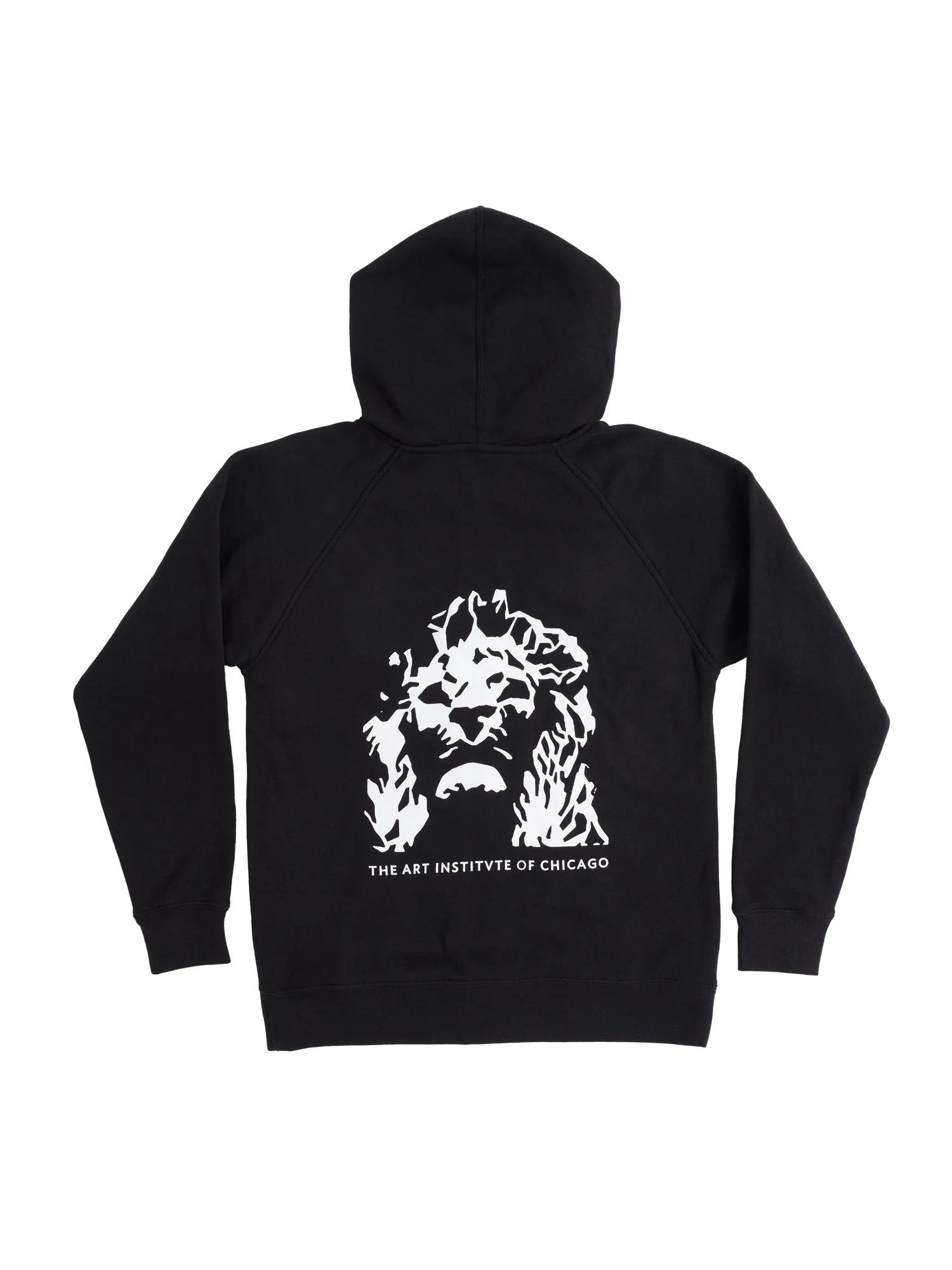 The Art Institute of Chicago Lion Youth Hooded Sweatshirt - Image 2