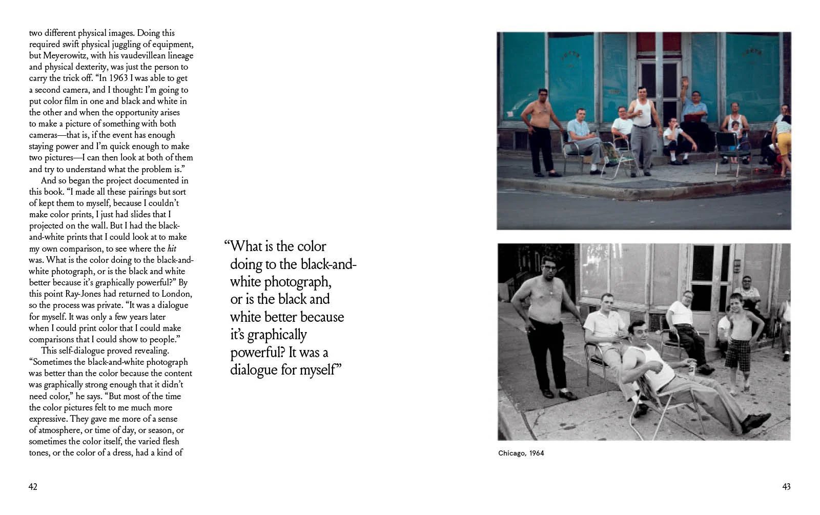 Joel Meyerowitz: A Question of Color - Image 3