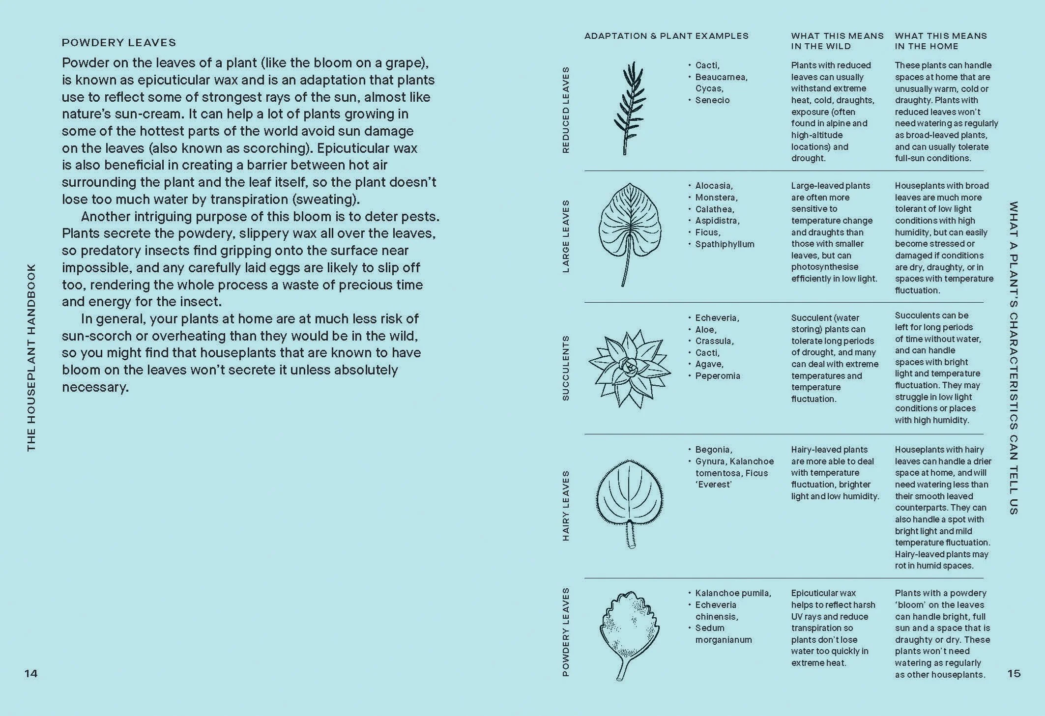 The Houseplant Handbook: A Beginner’s Guide to Caring for Houseplants - Image 3